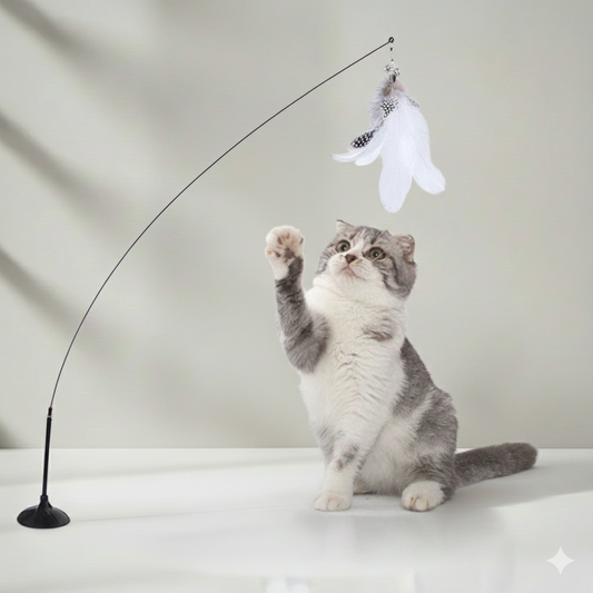 Interactive Cat Teaser Toy Feather Wand with Bell for Play