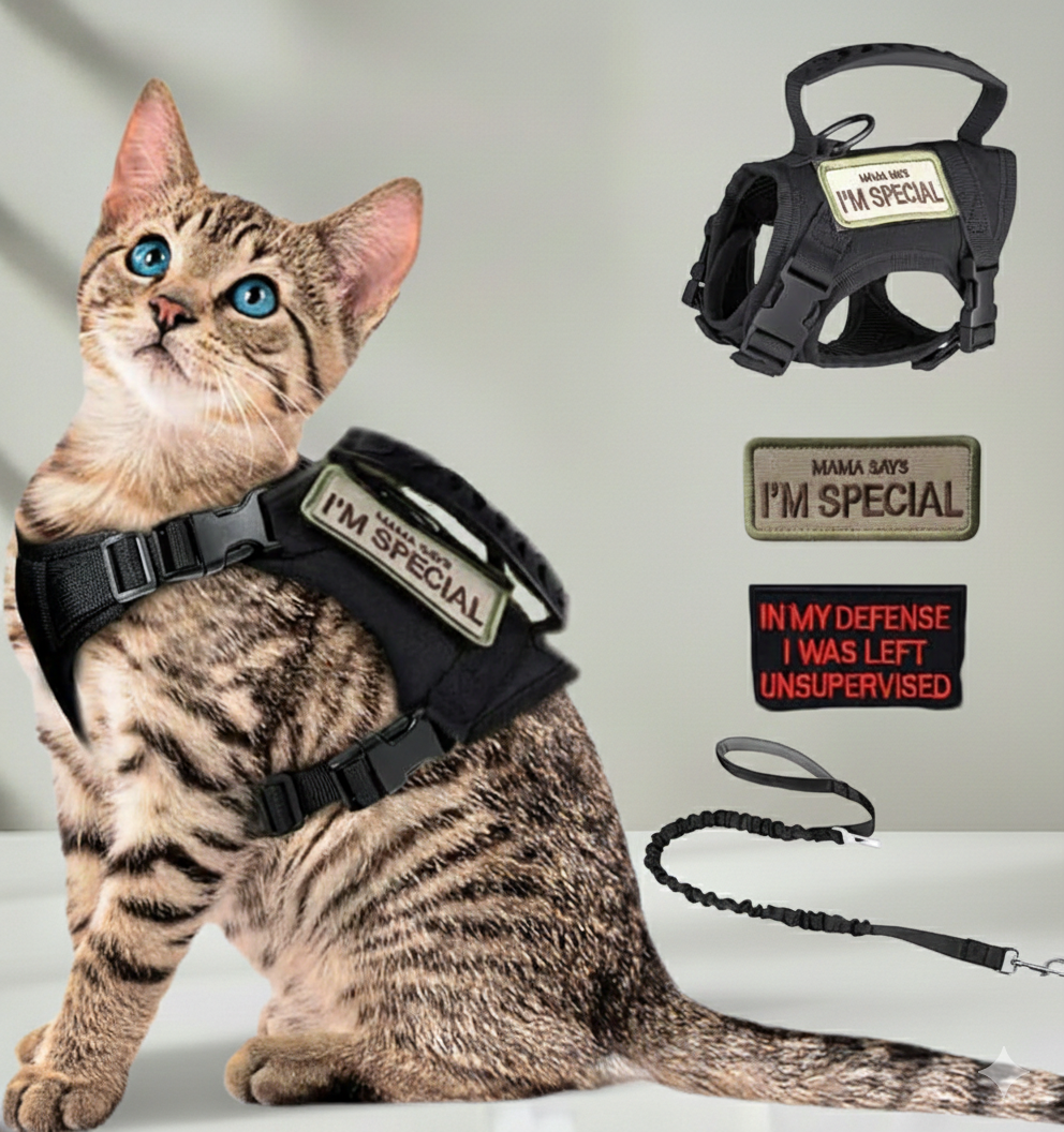Tactical Dog and Cat Harness Adjustable Mesh Vest with Handle