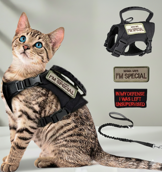 Tactical Dog and Cat Harness Adjustable Mesh Vest with Handle