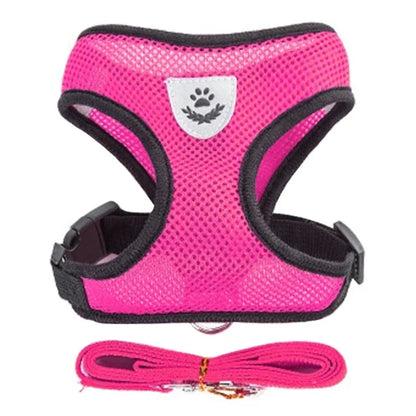 Adjustable Cat & Dog Harness Vest with Walking Leash for Pets