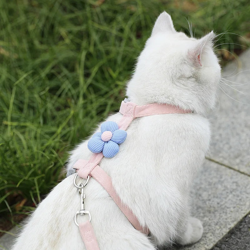 Adjustable Cat and Dog Harness with Leash for Small Pets