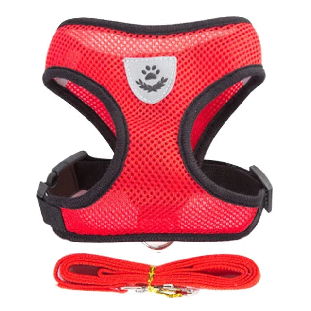 Adjustable Cat & Dog Harness Vest with Walking Leash for Pets