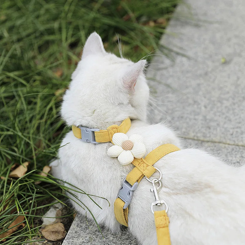 Adjustable Cat and Dog Harness with Leash for Small Pets