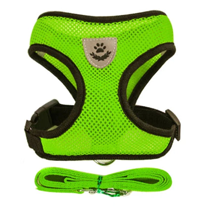 Adjustable Cat & Dog Harness Vest with Walking Leash for Pets