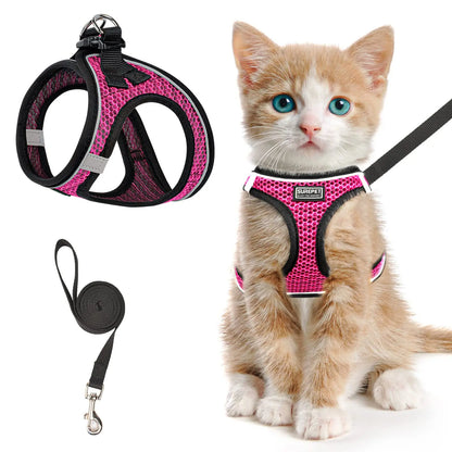 Adjustable Cat and Kitten Harness with Leash Reflective Mesh