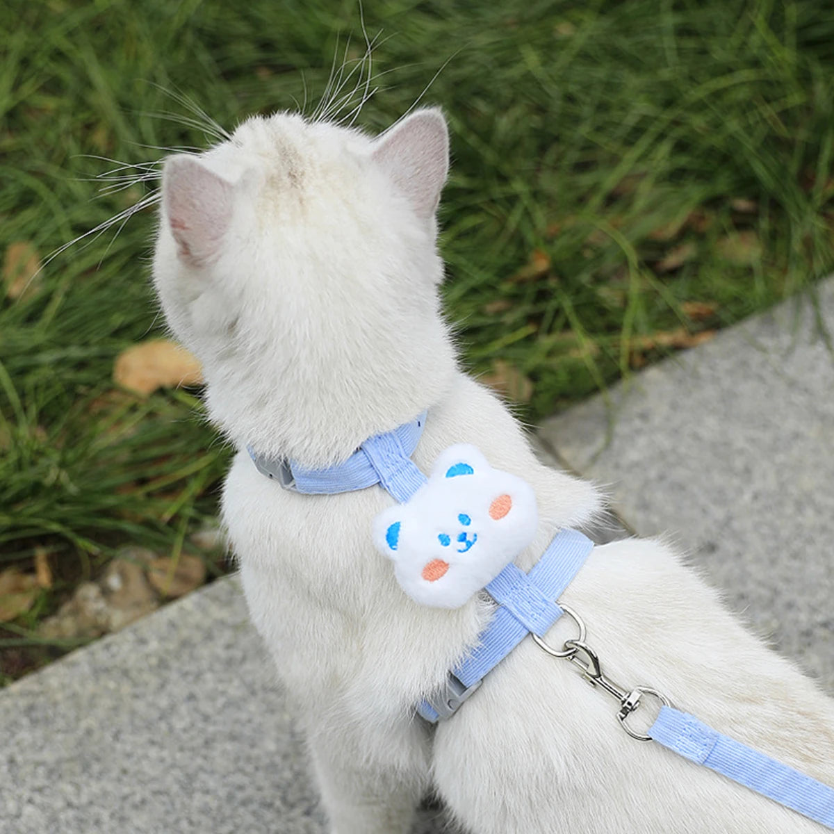 Adjustable Cat and Dog Harness with Leash for Small Pets